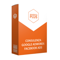 Consulenza Google Adwords / Facebook Ads