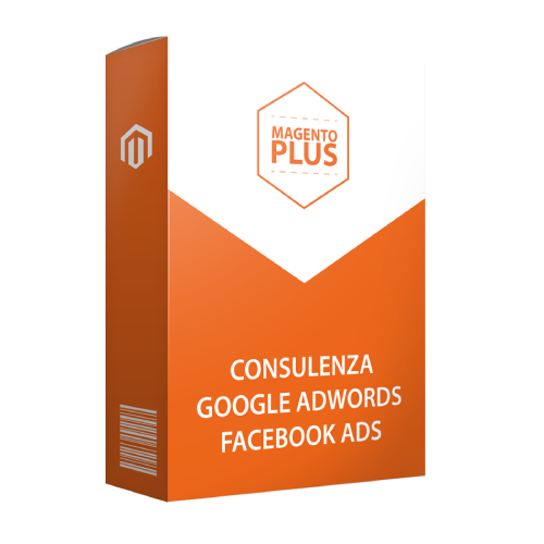 Consulenza Google Adwords / Facebook Ads