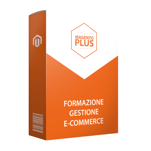Formazione sulla Gestione dell' E-commerce
